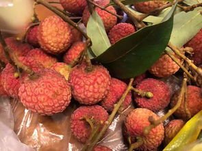 荔枝漲價背后 從水果自由到消費焦慮