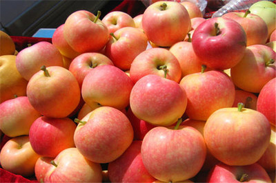 果多美加盟是否靠譜？剖析新鮮水果零售的機(jī)遇與挑戰(zhàn)