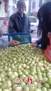 春暖果香價更親，應季鮮果正當時